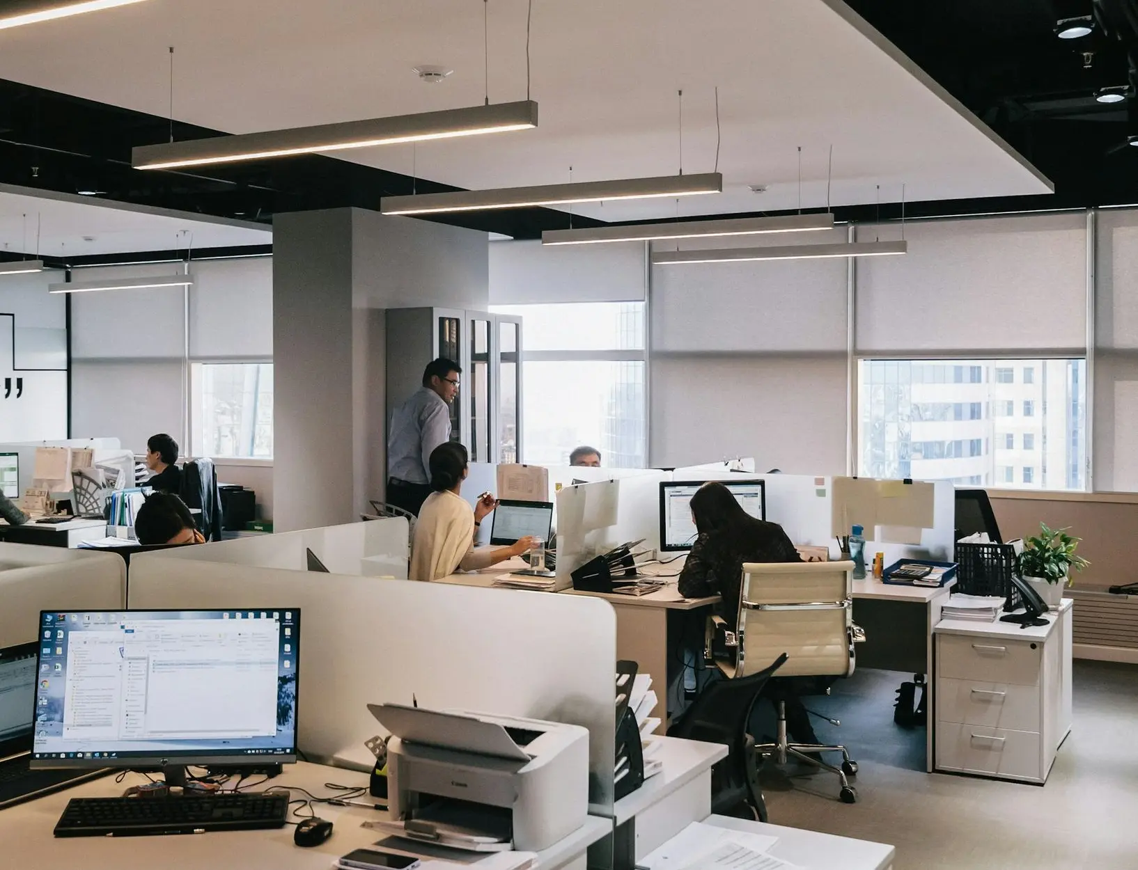 people inside office